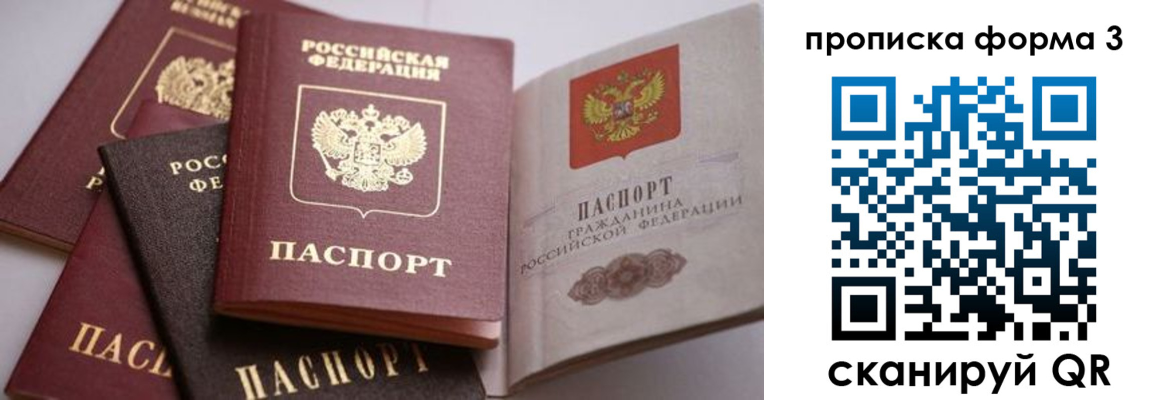 прописка для школы в Торжоке